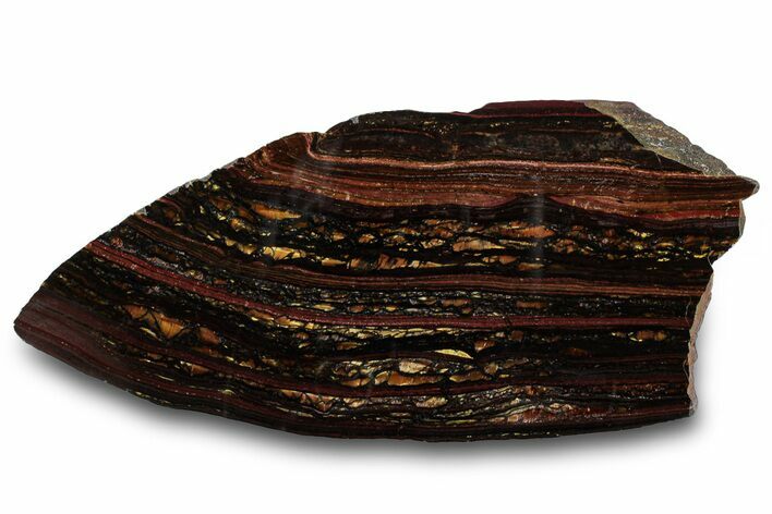 Polished Tiger Iron Stromatolite Slab - Billion Years #319444